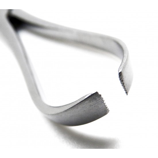 Lorna Towel Clamp Forceps 5.25"