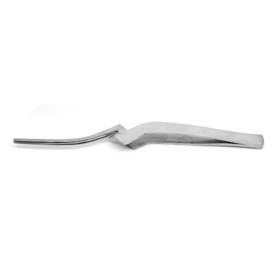 Paper Curved Forceps 6"