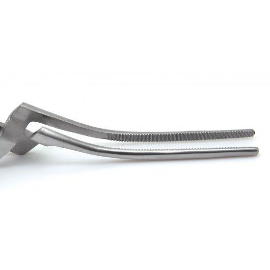 Paper Curved Forceps 6"
