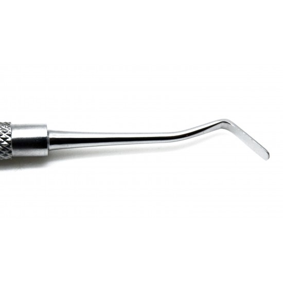 Dental Composite Filling 1504