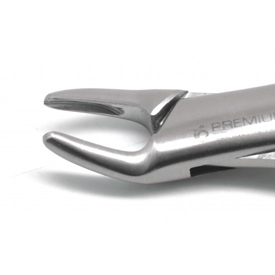 Dental Forceps 150s