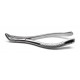 Dental Forceps 151s