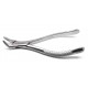 Dental Forceps 151s