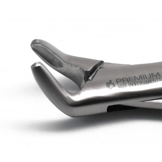 Dental Forceps 151s