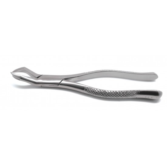 Dental Forcep 88R