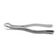 Dental Forcep 88R