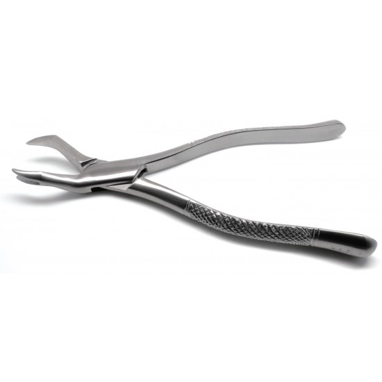 Dental Forcep 88R