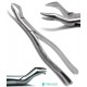 Dental Forcep 88R