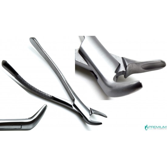 Forceps Set of 6