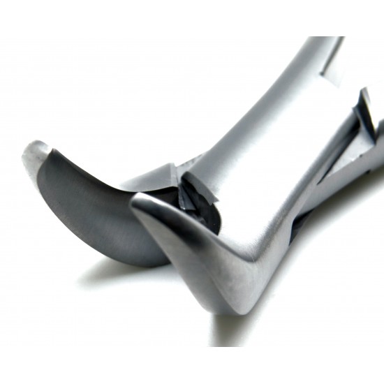 Dental Forcep 23