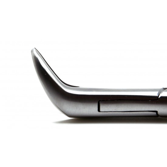 Dental Forcep 23