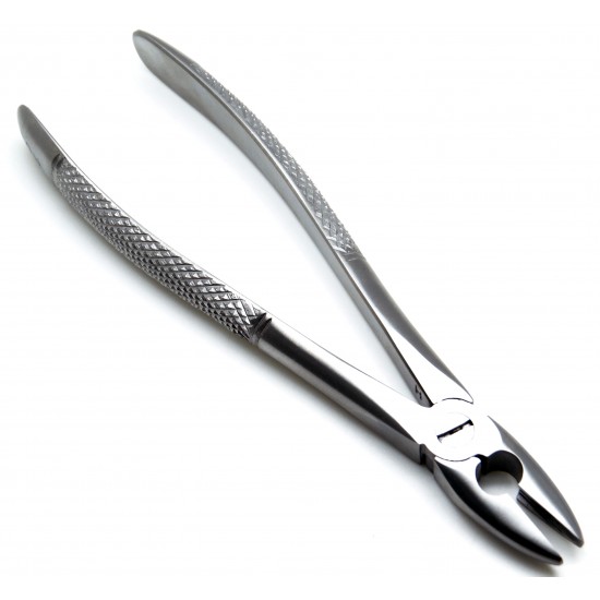 Dental Forceps MD1