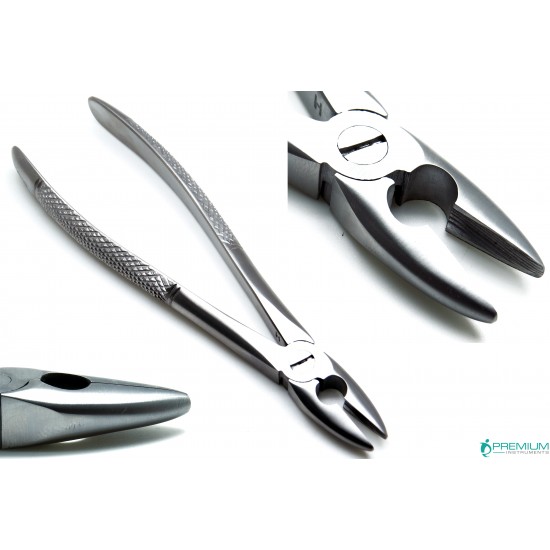 Dental Forceps MD1