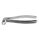 Dental Forcep MD4