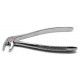 Dental Forcep MD4