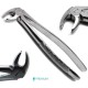 Dental Forcep MD4