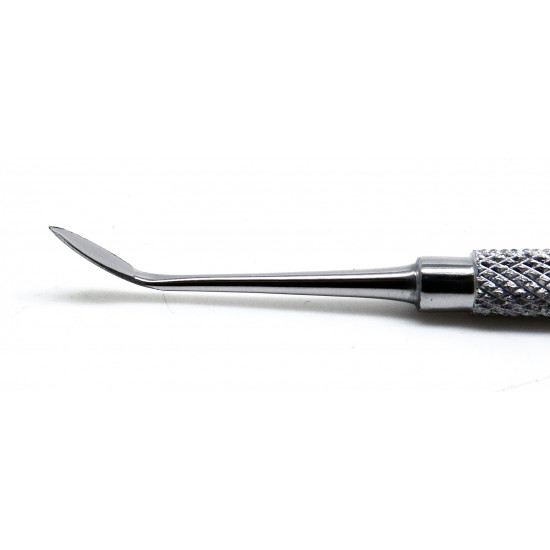 Dental Carvers Ward # 1